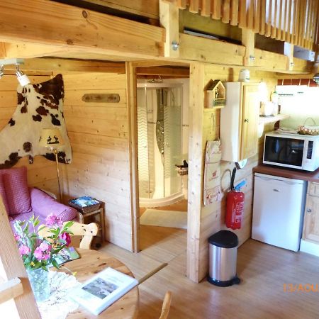Chalet Fleur Des Neiges Saint-Jean-dʼAulps Esterno foto