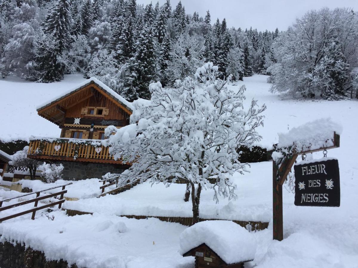 Chalet Fleur Des Neiges Saint-Jean-dʼAulps Esterno foto